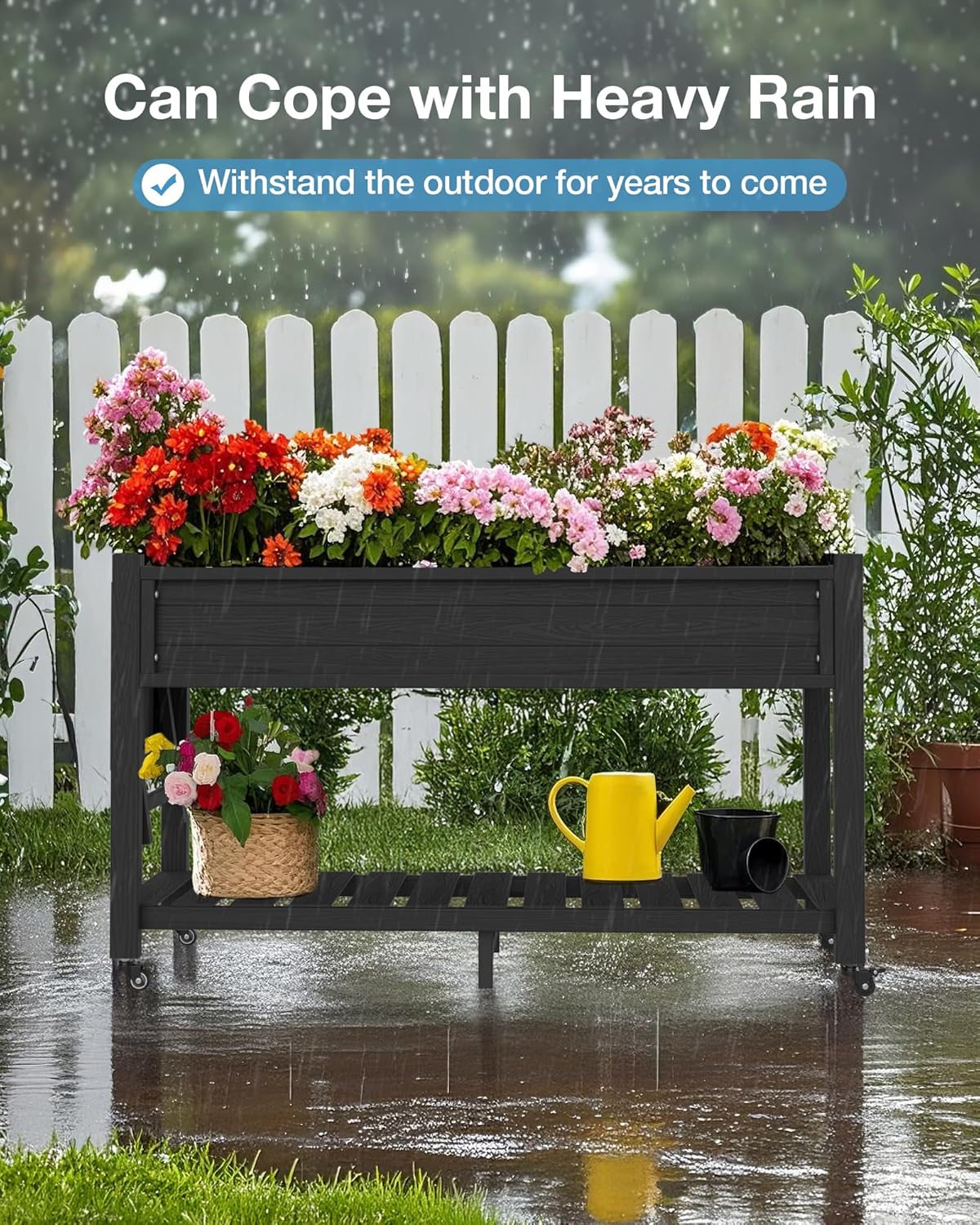 81x6OFZ0WvL._AC_SL1500_BLACK RAISED BEDWITH YELLOW PITCHER